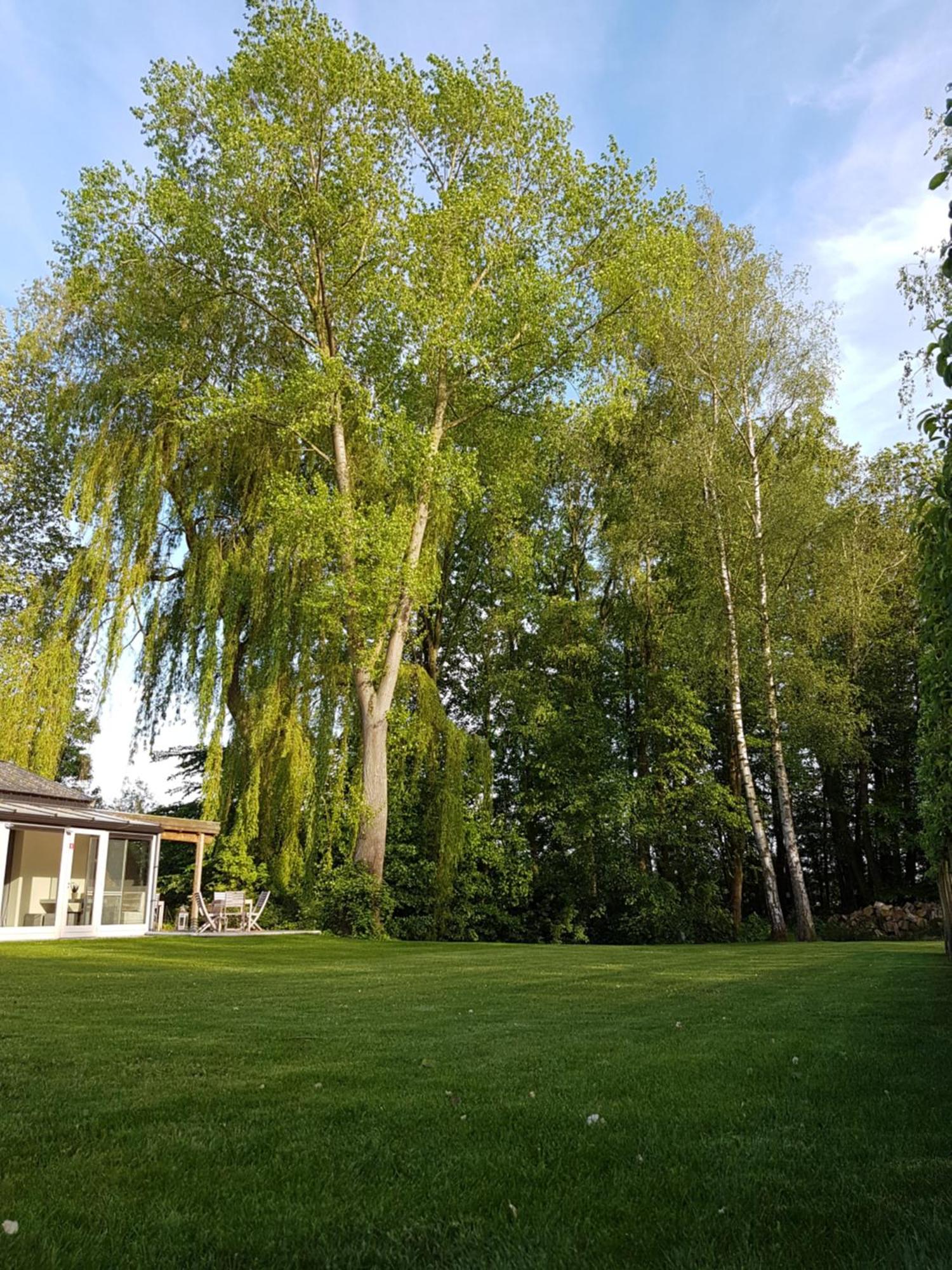 B&B Maison Kerkhove المظهر الخارجي الصورة